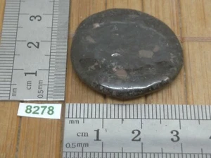 NUMITE pierre plate - Rare - shamane lithotherapie reiki esoterisme galet - Picture 1 of 2