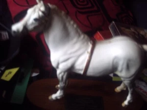 Beswick Welsh Mountain Stallion Gredington Simwnt - Model 2541A. - Picture 1 of 5