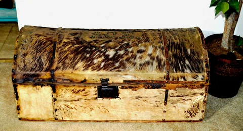 PRE VICTORIAN FUR HIDE TRUNK 1770-1840 Cover