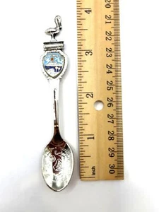 St. Thomas VI Collectible Souvenir Spoon With Pelican Top & Enamel Design B157 - Picture 1 of 4