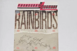 RAINBIRDS -Boy On The Beach / Just A...- 7" 45 mit Product Facts Promo-Flyer  - Bild 1 von 1