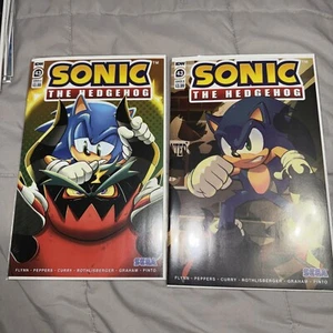 Sonic The Hedgehog #43 Cover A B 2018 Series IDW Comic Variant Lot - Bild 1 von 2