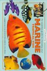 An Essential Guide to Choosing Your Marine Tropical Fish: A Detailed Survey of