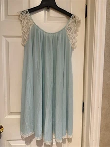 Vtg Pale Blue  Claire Sandra Lucie Ann Beverly Hills Nightgown  Appliqué Floral - Picture 1 of 10