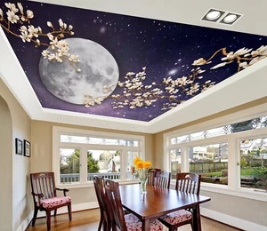 3D Dreamy Moon I6144 Ceiling WallPaper Murals Wall Print Decal Deco Erin 2023 - Picture 1 of 5