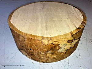 LOTTO 265X100MM 282A LEGNO DI SICOMORO SPACCATO TORNITURA LEGNO VUOTO - Foto 1 di 1