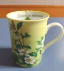 Konitz Germany Floral 14 oz Tall Coffee/Tea Mug/Cup "Camelia Sinensis"