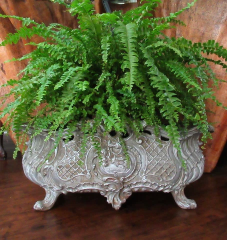 Antique Victorian Cast Iron Flower Pot Garden Planter Jardiniere French Baroque Cover