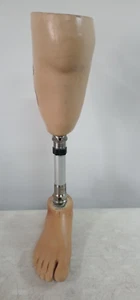 Otto Bock Titan Artificial Leg Prosthetic Below Knee - Picture 1 of 9