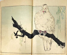 SEITEI WATANABE Japanese Antique Book Seitei Flower and Bird Album