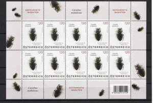 2024 Österreich Käfer Carabus nodulosus Gefährdete Insekten Nr.2 Grubenlaufkäfer - Picture 1 of 1