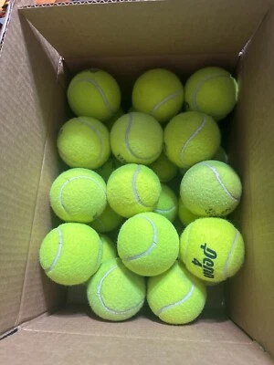 26 pelotas de tenis usadas para perros Foto 1 de 2