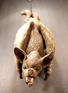 Hängende Vampir Fledermaus Vintage 14" Halloween Dekor Requisite Latex Gummi Spukhaus  - Bild 1 von 6