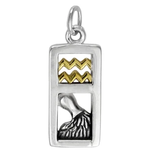 Aquarius Zodiac Sign Pendant Charm Sterling Silver Gold Plated Astrology Jewelry - Picture 1 of 2