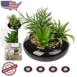 Realistic Large Artificial Succulent Plant in Chic Ceramic Pot for Home & Office - Picture 1 of 9