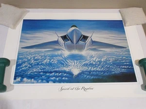 Spirit of the Raptor Poster United States Air Force Kampfjet - Bild 1 von 3