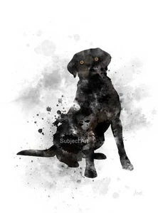 ART PRINT Black Labrador, Pet, Dog, Animal, Wall Art, Mothers Day Gift - Picture 1 of 2