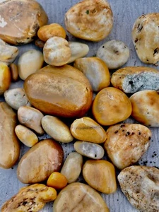 $10.00 a lb yellow agate yellow quartz  yellow jasper assorted cleaned - Picture 1 of 1