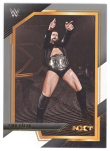 Finn Balor 2022 Panini WWE NXT Base Alumni silber parallel - Bild 1 von 2