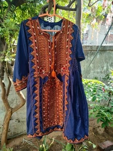 Elegant Blue Balochi Dress With multicolor Embroidery - Ethnic Wear - Picture 1 of 5