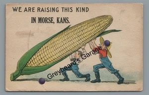 Maisübertreibung Gruß von Morse KS Kansas Vintage 1913 Postkarte - Bild 1 von 2
