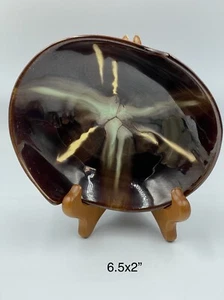 Cuenco de arte de cerámica esmaltada por goteo poco profundo en forma abstracta marrón brillante amarillo 571 - Imagen 1 de 11