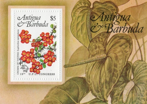 ANTIGUA 759 MNH SOUVENIR SHEET LOCAL FLOWERS [1984]** Cover
