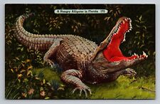 A Hungry Alligator In Florida Everglades Vintage Unposted Linen Postcard
