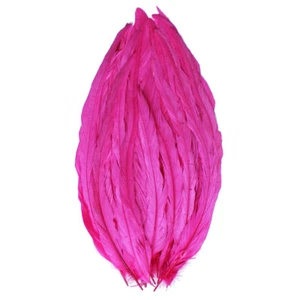 25 Stck. 16-18 Zoll lang Hot Pink gefärbt Hahn COQUE Schwanzfedern zum Basteln - Bild 1 von 1