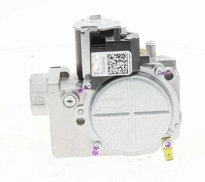 Rheem 60-103901-01 - Imagen 1 de 4