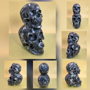 4,43 Pfund natürlicher Muschelstein Doppelschädel Quarz Kristall Edelstein Reiki Heilstein - Bild 1 von 10