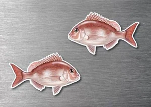 PRINTBUCKET Snapper sticker 2 pack 170mm quality water & fade proof vinyl boat fishing