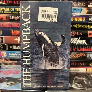 The Humpback 1993 VHS New Nature Documentary Deborah Mark Ferrari Paradise TV - Picture 1 of 9