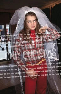 Hermosa Actriz BROOKE SHIELDS (FOTO) 014 - Imagen 1 de 1