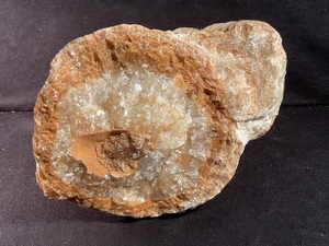 ~RW~ RIESIGER/RAUER "STALAGTITE oder STALAGMIT" aus ALTBESTAND~~ HERKUNFT UNBEKANNT - Bild 1 von 4