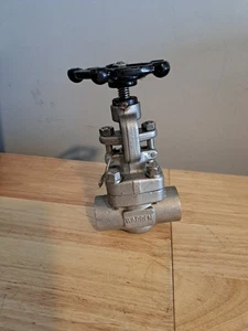 Warren 801-16-S-624 316 Stainless Steel Gate Valve 3/4" 1600 Psi Class 800 Lbs - Picture 1 of 4