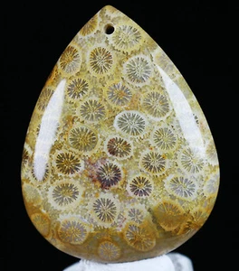 80Ct Natural Chrysanthemum Jade Coral Fossil Pendant Specimen - Picture 1 of 12