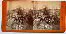 Stereoview American Scenery #993 View of the Side at Fairmount Park Phila. *S013