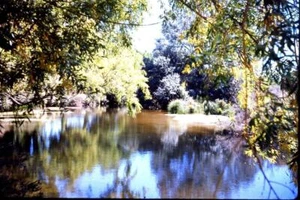 35mm Colour Slide- River - Picture 1 of 1