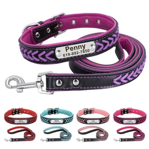 Geflochten Personalisiertes Hundehalsband und Leine Set Leder Halsband Gr.XS-XL - Bild 1 von 18