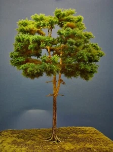 Diorama Modell Nadelbäume, 1 Waldkiefer, ca. 40 cm hoch - Picture 1 of 7