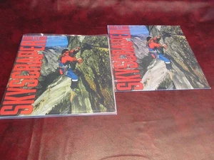 DAVID LEE ROTH SKYSCRAPER ORIGINAL 1988 WARNER ISSUE & 180 GRAM AUDIOPHILE COMBO - Picture 1 of 2