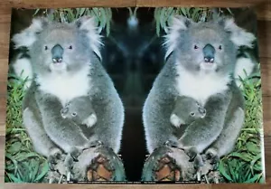 Koalas Bears Cubs 1980s Sydney NSW Australia Neil McCleod Cute Nature Poster FN - Picture 1 of 1