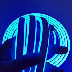 12V 24V Blue Double-side Neon LED Light Strip Waterproof Home Xmas Party Decor - Picture 1 of 9