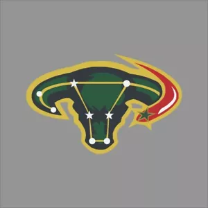 Dallas Stars #5 NHL Team Pro Sports Vinyl Sticker Decal Car Window Wall - Picture 1 of 4