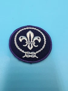 Escudo Mundial de la Organización Mundial del Movimiento Scout (OMMS). Parche - Imagen 1 de 3
