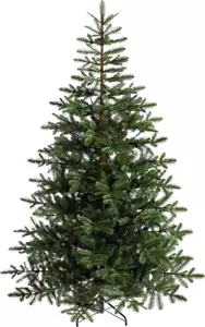 WeRChristmas Nordmann Tanne Weihnachtsbaum - 6 Fuß/1,8m, grün 6m - Bild 1 von 6