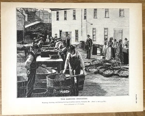 Processing Herring at Sardine Cannery Eastport Maine 1887 Antique Fishing Print - Picture 1 of 10