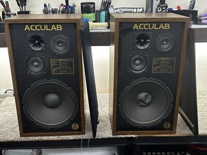 Acculab 440 Vintage Lautsprecher 1980 12" Tieftöner (schön) 7345 - Bild 1 von 9
