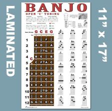 LAMINATED 5 String Banjo Chord Poster Open C Tuning Chords Plucky Travel for sale